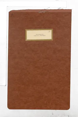p. 20