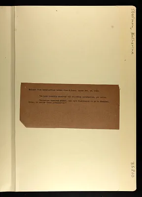 p. 43