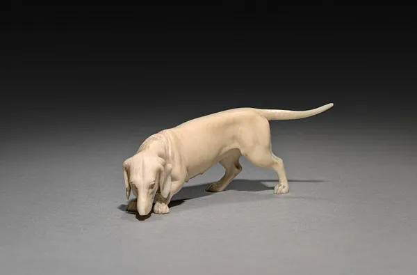 Dachsund