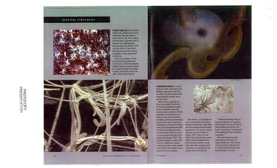 p. 12