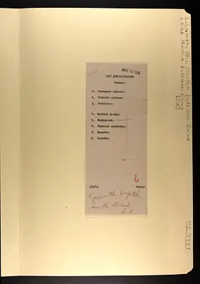 p. 7