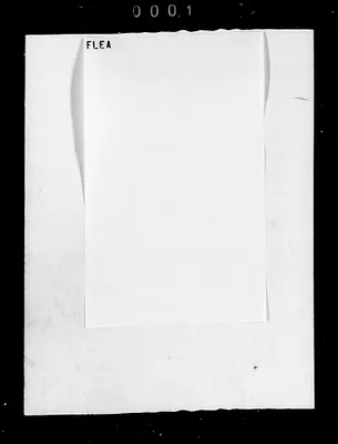 p. 11