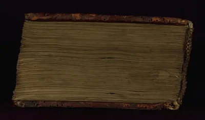 p. 7