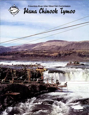 p. 29