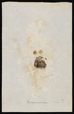 p. 13