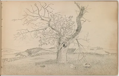 p. 6