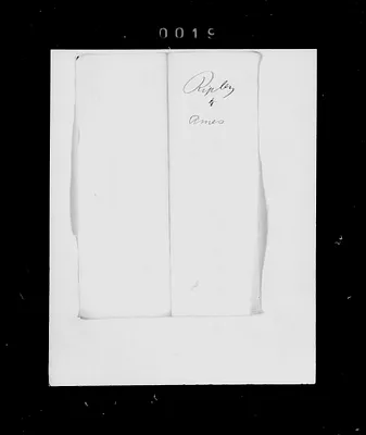 p. 29