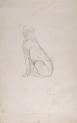 Study for ""Diogenes""