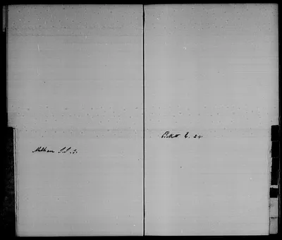 p. 8
