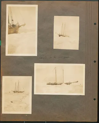 p. 8