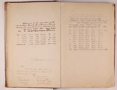 p. 31