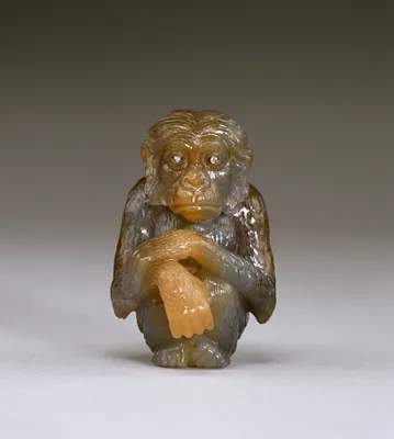 Chimpanzee