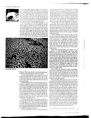 p. 26