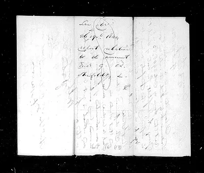p. 7
