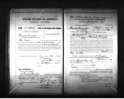 p. 31