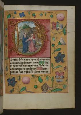 Leaf from Aussem Book of Hours: Hours of the Virgin, Visitation with Flowers and Insects in Margins
