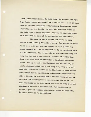 p. 41