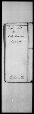 p. 7