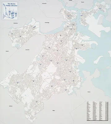 The Boston Public Libraries