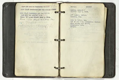 p. 41