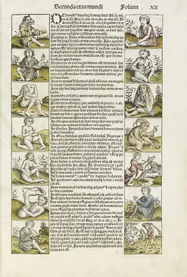 p. 7