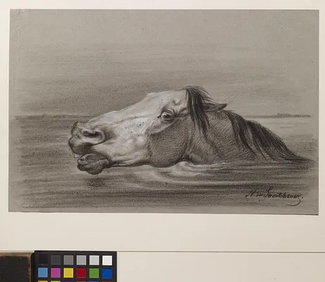 Head of a Swimming Horse