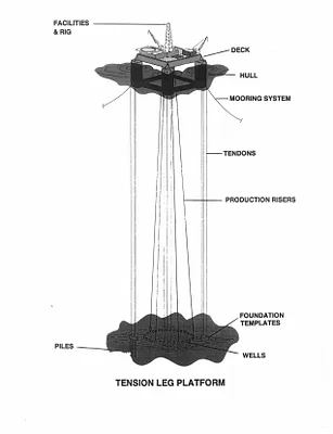 p. 31