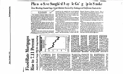 p. 54