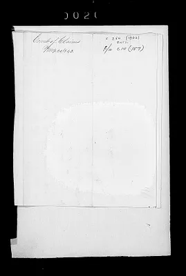 p. 23
