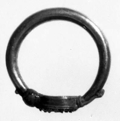 Ring with a Fixed Bezel