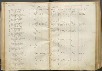 p. 31