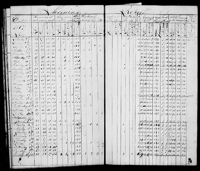 p. 16
