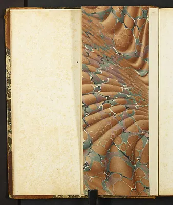 p. 26