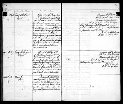 p. 31