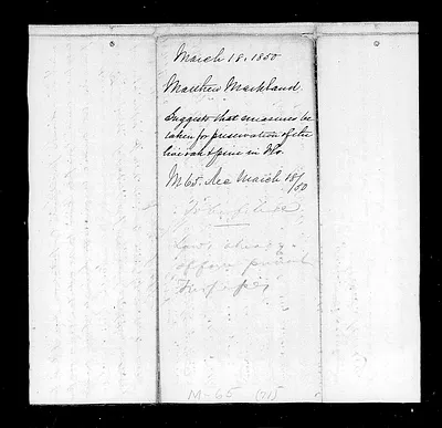 p. 36