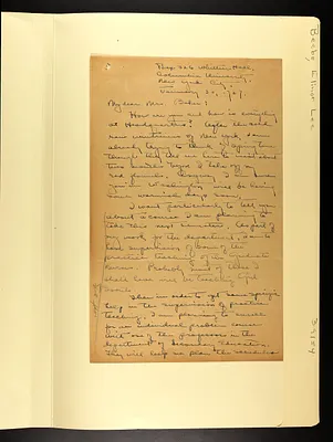 p. 41
