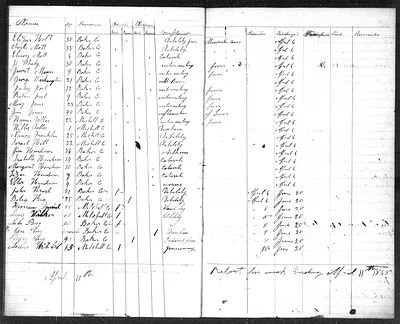 p. 15