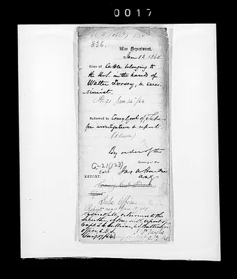 p. 20