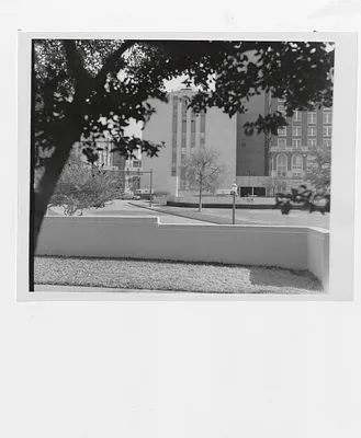 p. 50