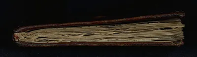 p. 8