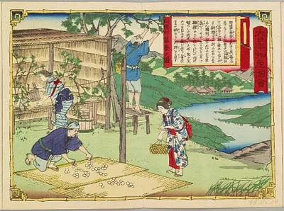 p. 5