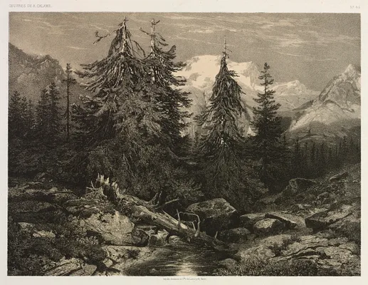 Alpine Stream