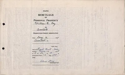 p. 5