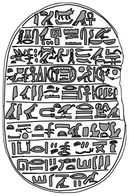 p. 5