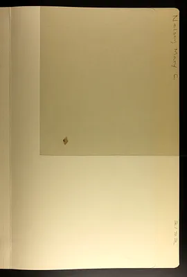p. 52
