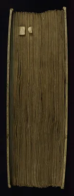 p. 5