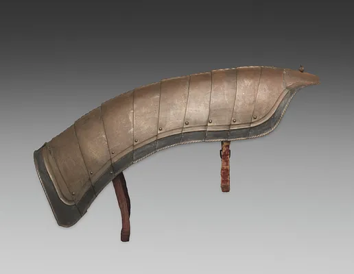 Horse's Crinet