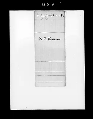 p. 29