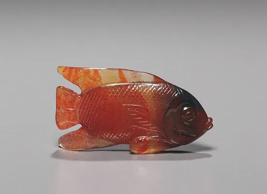 Fish
