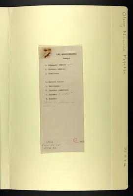 p. 12